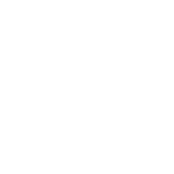 Freedom Farms horse logo